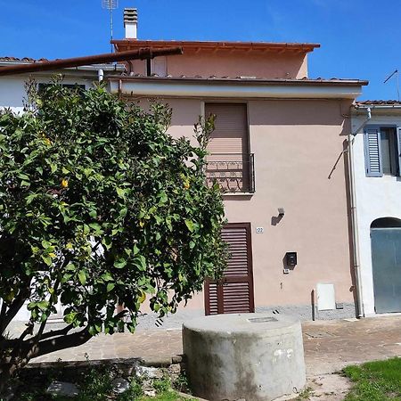 Appartamento Il Limone Pisa Exterior photo